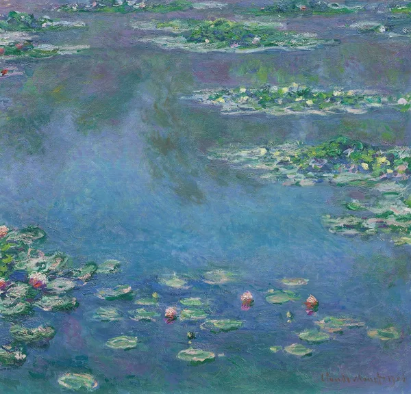 Water lilies floating on a pond that reflects the sky